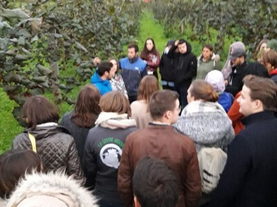 Evropski ruralni parlament za mlade okupio preko 70 osoba