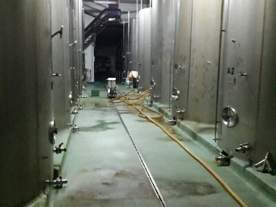 Evropski ruralni parlament za mlade okupio preko 70 osoba