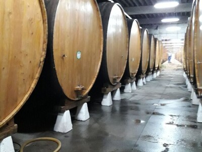 Evropski ruralni parlament za mlade okupio preko 70 osoba