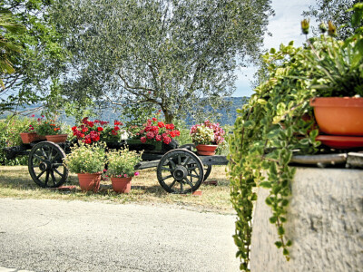 Eksterijer OPG-a Eksterijer OPG-a