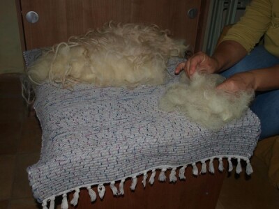 Od ovce do čarape Od ovce do čarape