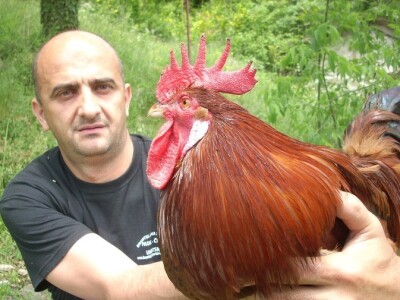 Željko Tomas BZ Pauk-čeka Imotski