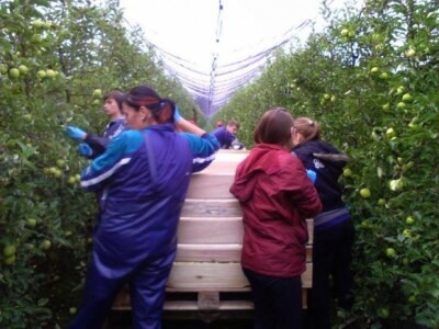 Za hladnjaču isplaćeno 3,38 milijuna kuna iz IPARD-a