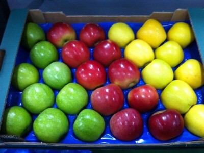 Za hladnjaču isplaćeno 3,38 milijuna kuna iz IPARD-a