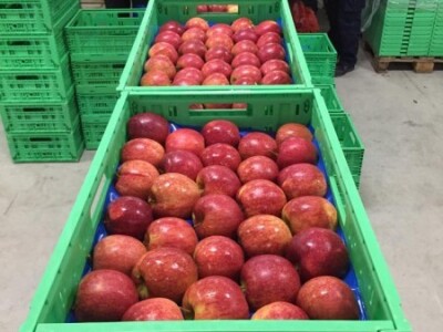 Za hladnjaču isplaćeno 3,38 milijuna kuna iz IPARD-a