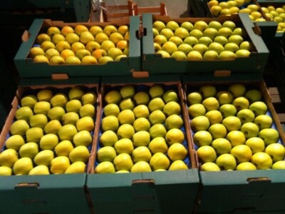 Za hladnjaču isplaćeno 3,38 milijuna kuna iz IPARD-a