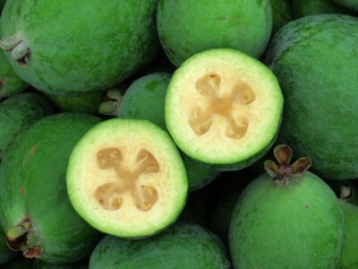 Fabio Flego uspješno uzgaja egzotično voće usred Pule