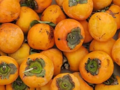 Fabio Flego uspješno uzgaja egzotično voće usred Pule