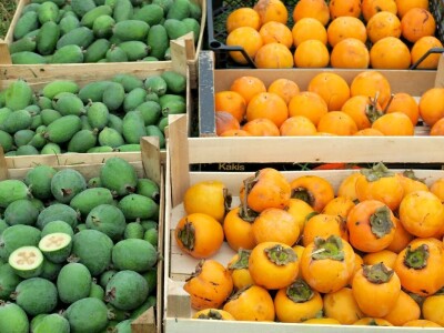 Fabio Flego uspješno uzgaja egzotično voće usred Pule