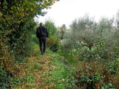 Fabio Flego uspješno uzgaja egzotično voće usred Pule