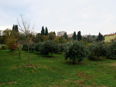 Fabio Flego uspješno uzgaja egzotično voće usred Pule