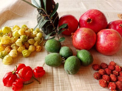 Fabio Flego uspješno uzgaja egzotično voće usred Pule