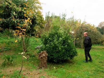 Fabio Flego uspješno uzgaja egzotično voće usred Pule