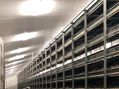 Fahir Hasanić: Najveći problem su proizvođači "na crno"