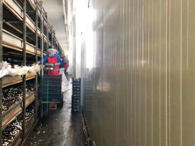 Fahir Hasanić: Najveći problem su proizvođači "na crno"