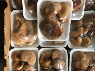 Fahir Hasanić: Najveći problem su proizvođači "na crno"