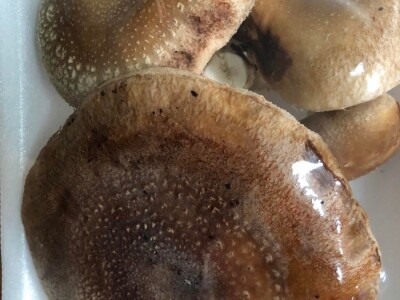 Fahir Hasanić: Najveći problem su proizvođači "na crno"