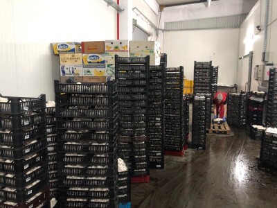 Fahir Hasanić: Najveći problem su proizvođači "na crno"