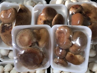 Fahir Hasanić: Najveći problem su proizvođači "na crno"