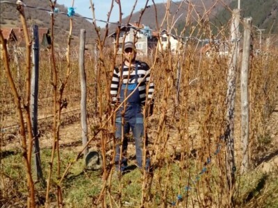 Fahira i Adil Prijić: Iz perspektive prodavača na pijaci