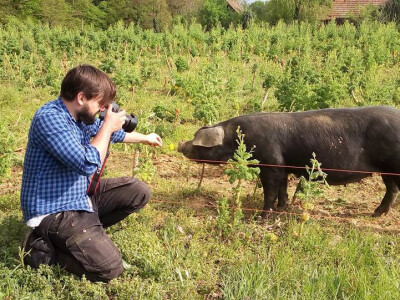 Umjetnost na djelu Umjetnost na djelu