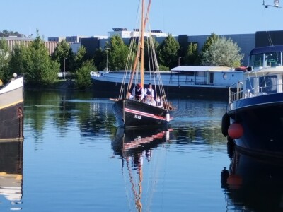 Falkuša u Strasbourgu