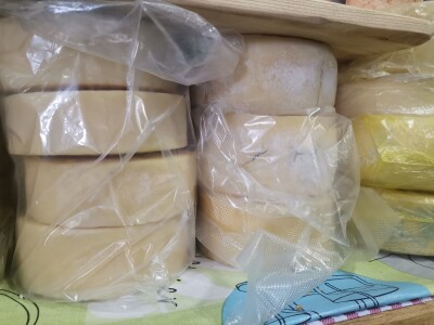 Fantastična za probavu: Znate li šta je basa?