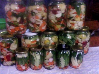 Fantastična zimnica iz organske bašte Slavice Petrušić