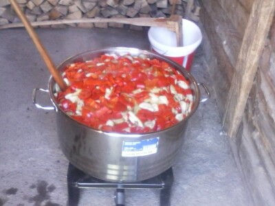 Fantastična zimnica iz organske bašte Slavice Petrušić