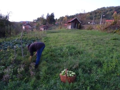 Fantastična zimnica iz organske bašte Slavice Petrušić