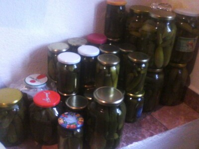 Fantastična zimnica iz organske bašte Slavice Petrušić