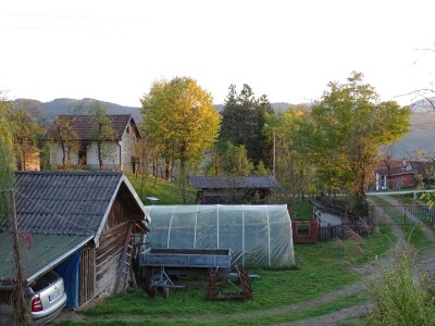 Fantastična zimnica iz organske bašte Slavice Petrušić