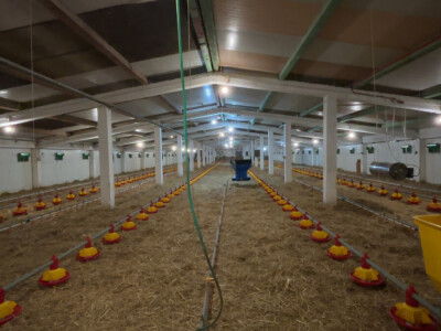 Kako izgleda farma s rashladnim saćem?