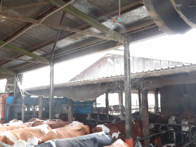 Savremeni sistem hlađenja na farmi "Babić"