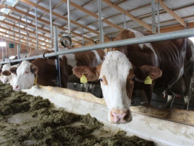Farma Agro Mašić