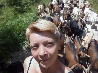 Farma "Ajanović"