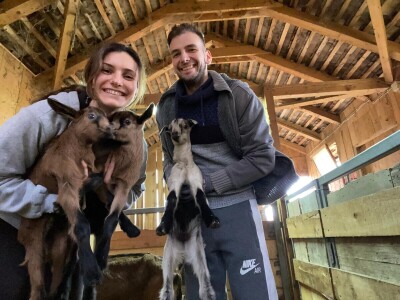 Farma alpskih koza u Donjoj Slatini