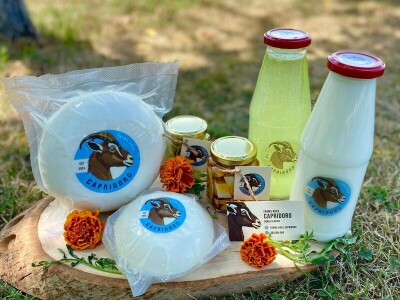 Farma alpskih koza u Donjoj Slatini