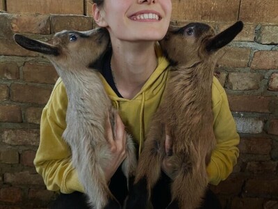 Farma alpskih koza u Donjoj Slatini