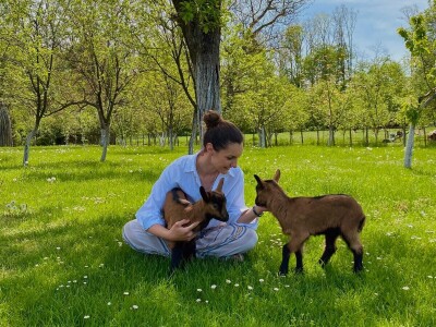 Farma alpskih koza u Donjoj Slatini