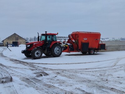 Farma angus goveda, Novi Slankamen