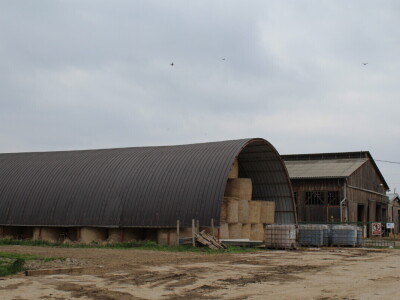 Farma Arator u Lovasu