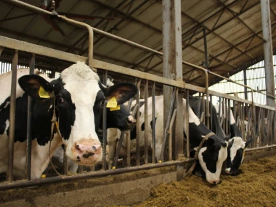 Farma Arator u Lovasu