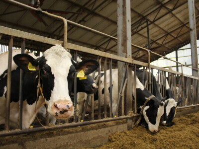 Farma Arator u Lovasu