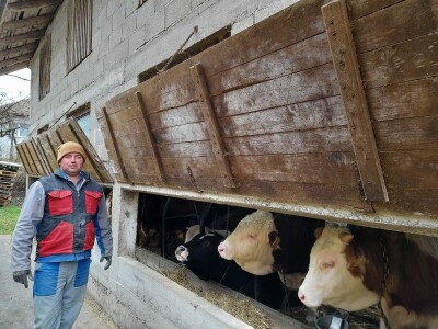 Farma Azema Mehanovića