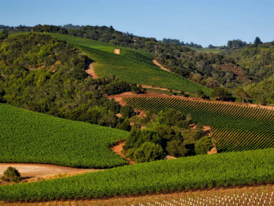 Farma Berić Farma Berić