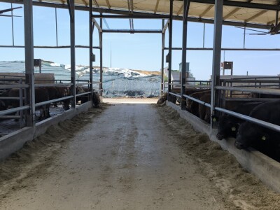 Farma Bilodar d.o.o. u Gudovcu