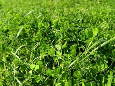 Farma Bilodar d.o.o. u Gudovcu