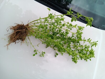 Farma Bilodar d.o.o. u Gudovcu