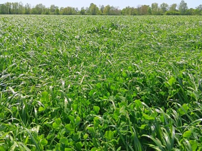 Farma Bilodar d.o.o. u Gudovcu